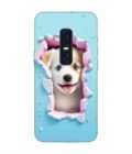 Printed Back Cover for Vivo V17 Pro Close Up Dog Looking Out Hole Wall